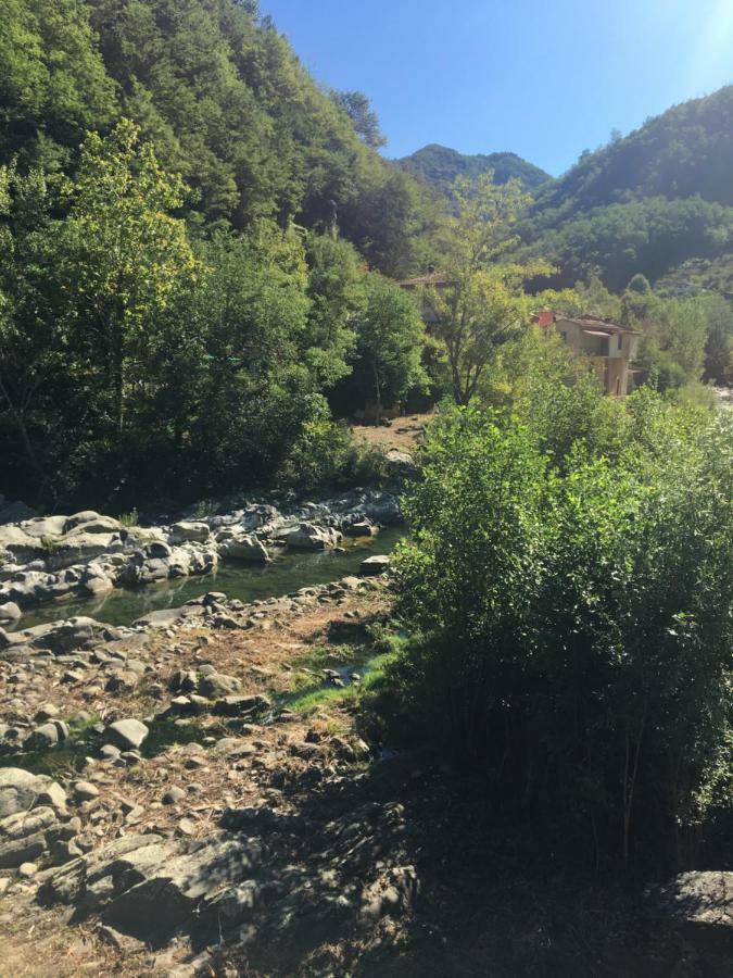 River Idyll 巴尼－迪卢卡 外观 照片